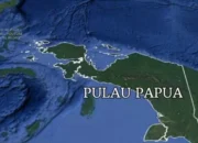Dari Papua Utara untuk Tanah Papua: Seruan Kritis Atas Pembentukan BE-PP Otsus